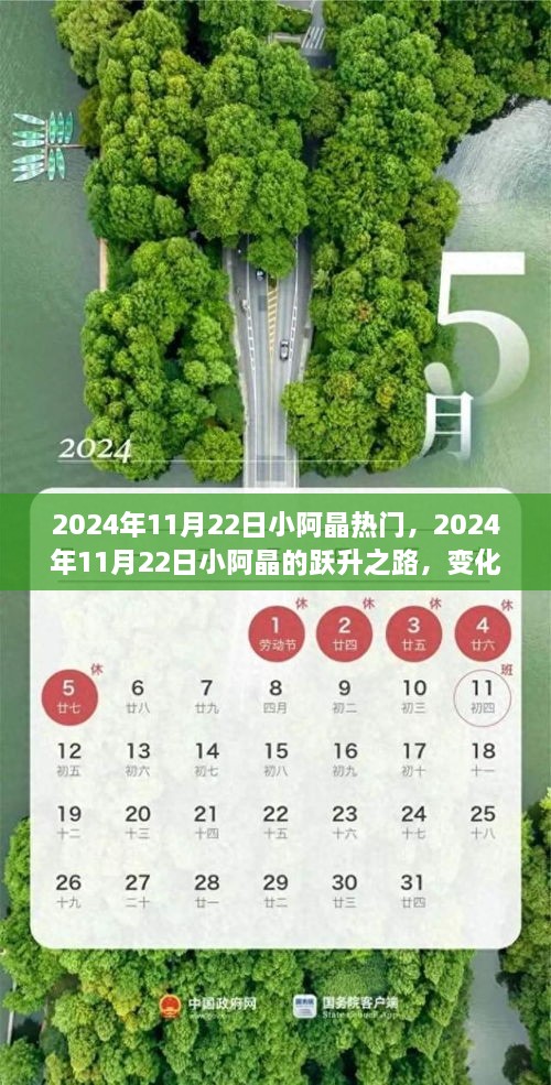 小阿晶的跃升之路，自信与成就感的魔法在2024年11月22日的显现