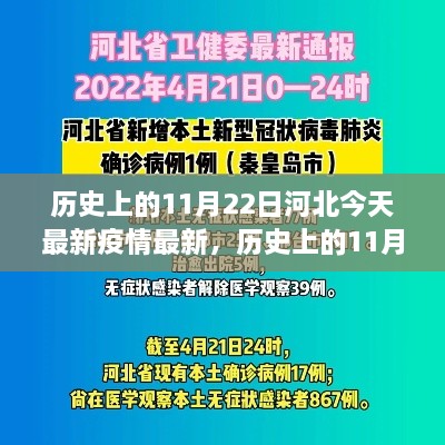 历史上的11月22日与今日河北疫情最新动态，抗疫进展报告及小红书热议