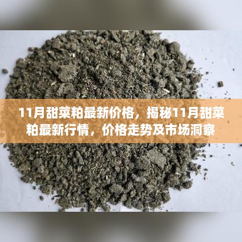 揭秘11月甜菜粕市场行情，最新价格、走势及市场洞察