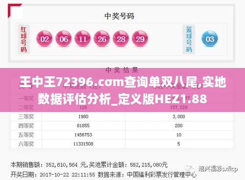 王中王72396.cσm查询单双八尾,实地数据评估分析_定义版HEZ1.88