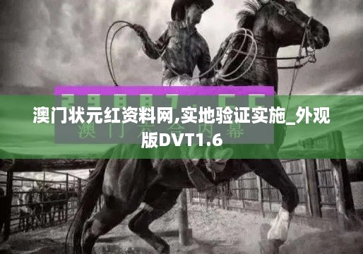 澳门状元红资料网,实地验证实施_外观版DVT1.6