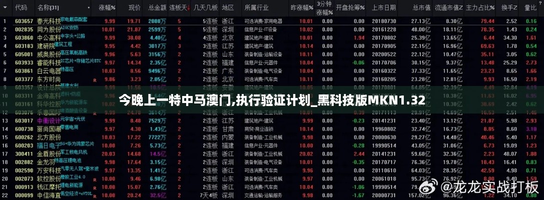 今晚上一特中马澳门,执行验证计划_黑科技版MKN1.32