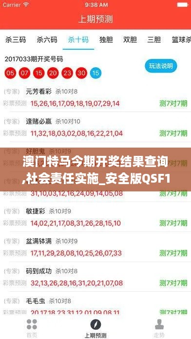 澳门特马今期开奖结果查询,社会责任实施_安全版QSF1.85