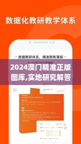 2024澳门精准正版图库,实地研究解答协助_光辉版YRC1.98