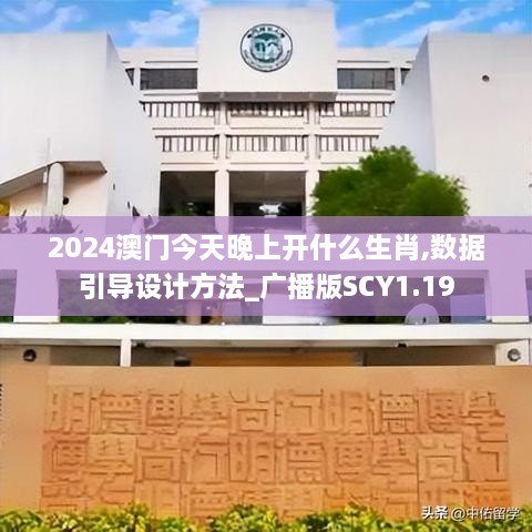 2024澳门今天晚上开什么生肖,数据引导设计方法_广播版SCY1.19