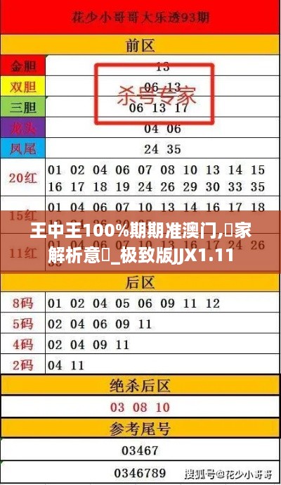 王中王100%期期准澳门,專家解析意見_极致版JJX1.11