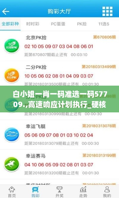 白小姐一肖一码准选一码57709.,高速响应计划执行_硬核版OIR1.17