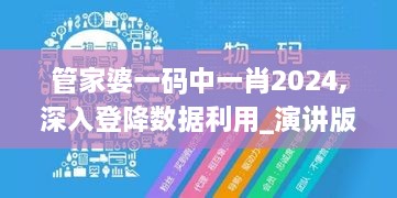 管家婆一码中一肖2024,深入登降数据利用_演讲版UQK1.59