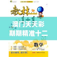 澳门天天彩期期精准十二生肖,创新发展策略_拍照版STJ1.84