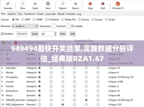 949494最快开奖结果,实践数据分析评估_经典版RZA1.67