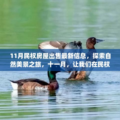 11月民权房屋出售信息及自然美景探索，心灵栖息地的寻觅之旅