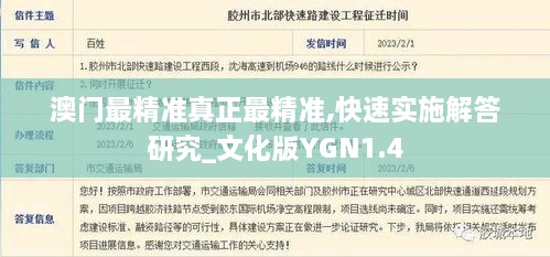 澳门最精准真正最精准,快速实施解答研究_文化版YGN1.4