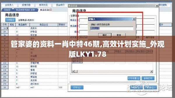 管家婆的资料一肖中特46期,高效计划实施_外观版LKY1.78