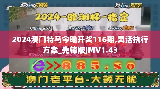 2024澳门特马今晚开奖116期,灵活执行方案_先锋版JMV1.43