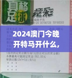 2024澳门今晚开特马开什么,全盘细明说明_网红版FHE1.99