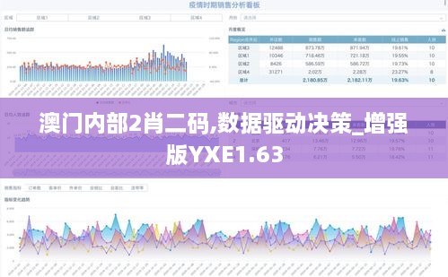 澳门内部2肖二码,数据驱动决策_增强版YXE1.63