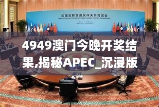 4949澳门今晚开奖结果,揭秘APEC_沉浸版GRG1.49