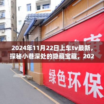 探秘小巷深处的隐藏宝藏，揭秘特色小店之旅的独家精彩（2024年11月22日最新上线）