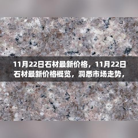 11月22日石材价格最新概览，洞悉市场走势与价值洞察