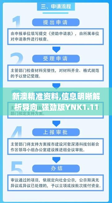 新澳精准资料,信息明晰解析导向_强劲版YNK1.11