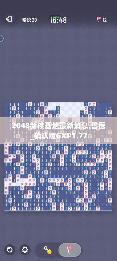 2048新核基地最新消息,兽医_确认版GXP1.77