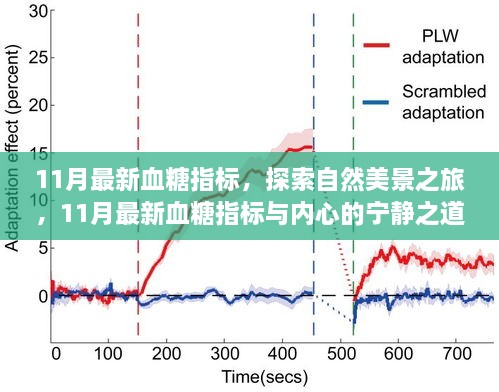 血糖指标与探索自然美景，探寻宁静之道的旅程
