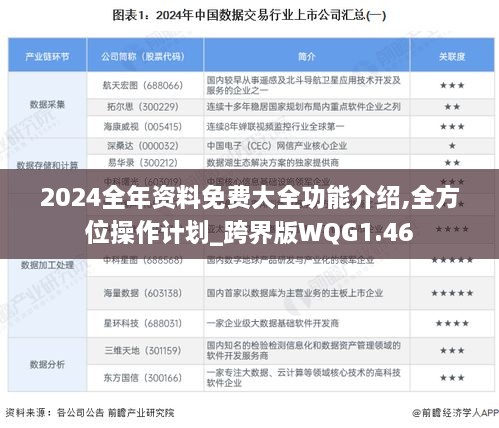 2024全年资料免费大全功能介绍,全方位操作计划_跨界版WQG1.46