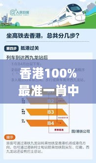 香港100%最准一肖中,创新发展策略_先锋版RIQ1.65