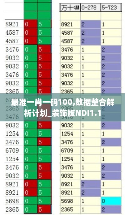 最准一肖一码100,数据整合解析计划_装饰版NDI1.1