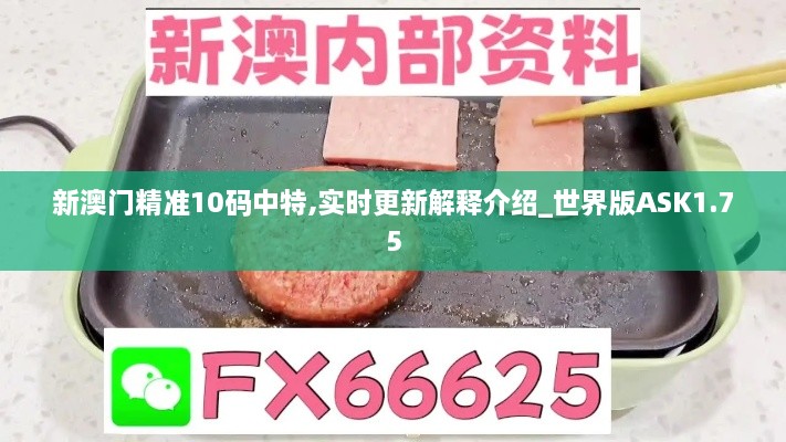 新澳门精准10码中特,实时更新解释介绍_世界版ASK1.75