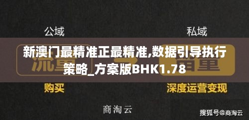 新澳门最精准正最精准,数据引导执行策略_方案版BHK1.78