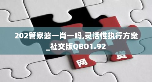 202管家婆一肖一吗,灵活性执行方案_社交版QBO1.92