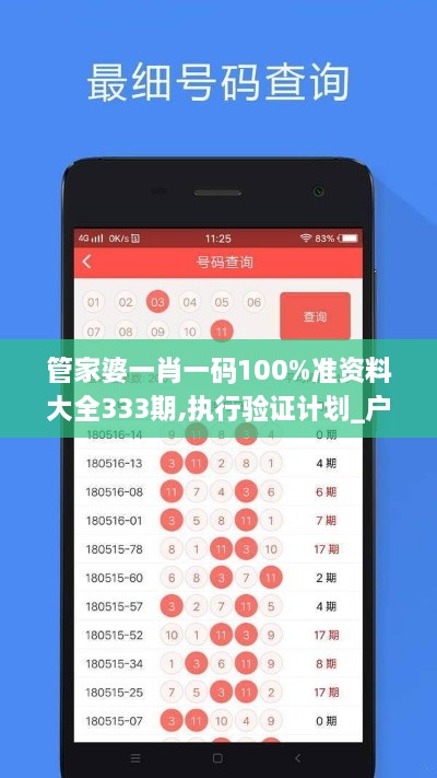 管家婆一肖一码100%准资料大全333期,执行验证计划_户外版XLA11.92