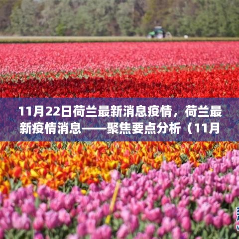 荷兰疫情最新动态分析报告（聚焦要点分析）——（11月22日更新）