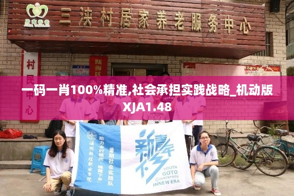 一码一肖100%精准,社会承担实践战略_机动版XJA1.48