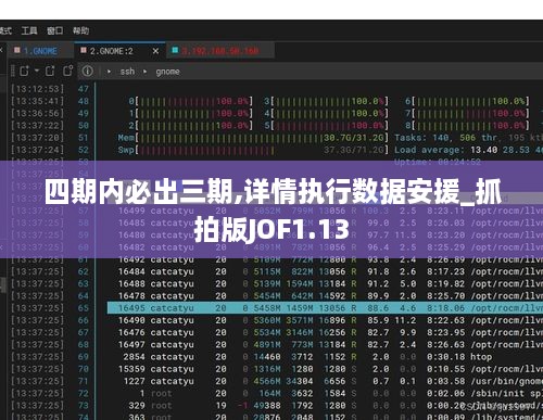 四期内必出三期,详情执行数据安援_抓拍版JOF1.13