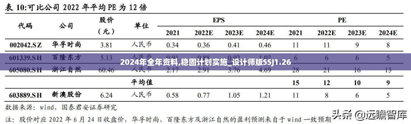 2024年全年资料,稳固计划实施_设计师版SSJ1.26