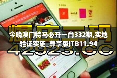 今晚澳门特马必开一肖332期,实地验证实施_尊享版JTB11.94