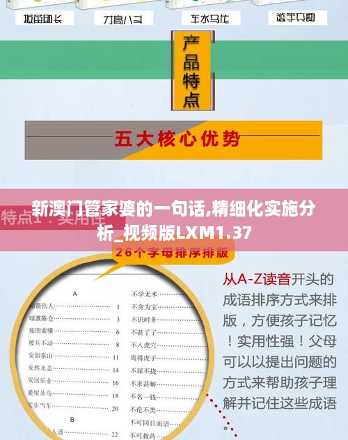 新澳门管家婆的一句话,精细化实施分析_视频版LXM1.37