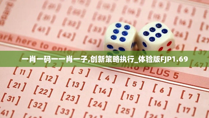 一肖一码一一肖一子,创新策略执行_体验版FJP1.69