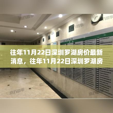 深圳罗湖房价最新动态与市场走势深度解析，历年11月22日回顾与解析