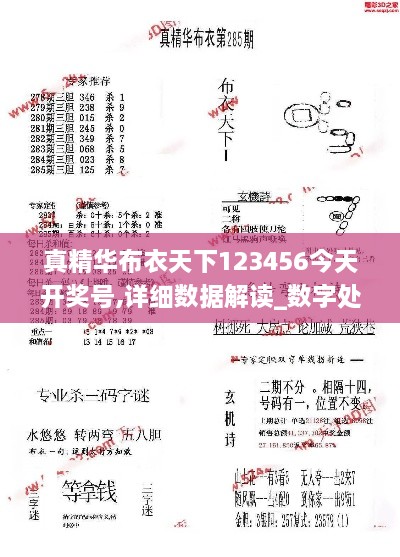 真精华布衣天下123456今天开奖号,详细数据解读_数字处理版XKC1.43