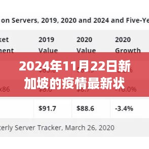 新加坡疫情最新动态，变革与成长之路，新加坡之光在行动（2024年11月22日）