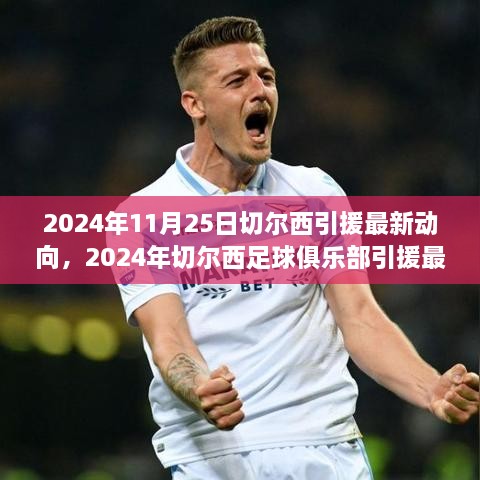 揭秘2024年切尔西足球俱乐部引援最新动向，全方位解读引援过程