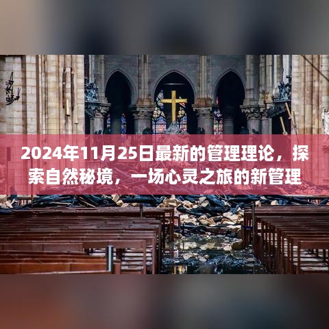 心灵之旅，探索自然秘境与最新管理理论之旅（2024年）