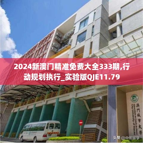 2024新澳门精准免费大全333期,行动规划执行_实验版QJE11.79