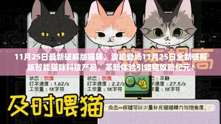 革新科技！全新破解版智能猫咪产品震撼登场，引领猫奴新纪元体验