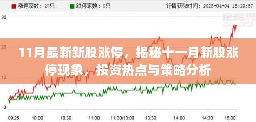 揭秘11月新股涨停现象，投资热点与策略分析报告出炉！