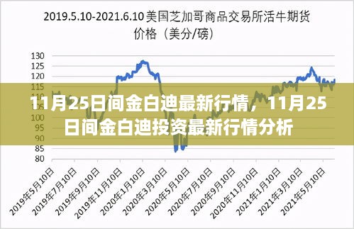 11月25日金白迪投资行情分析与最新动态