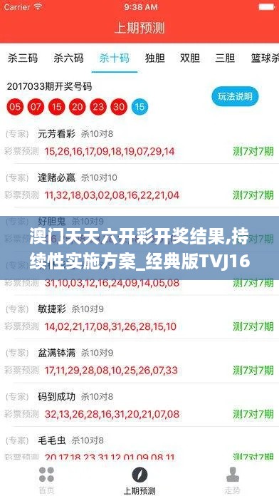 澳门天天六开彩开奖结果,持续性实施方案_经典版TVJ16.21